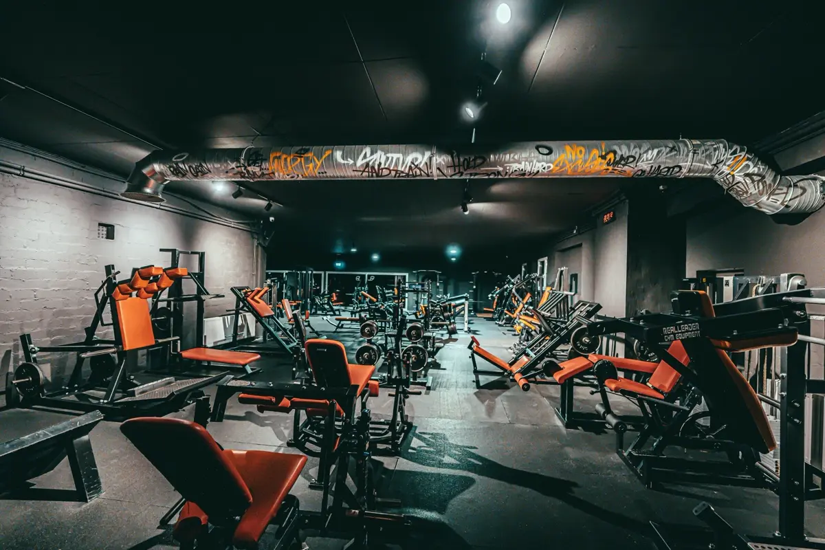 Plateloaded Area – Hantelscheiben-Geräte im Everybody's Fitness Club