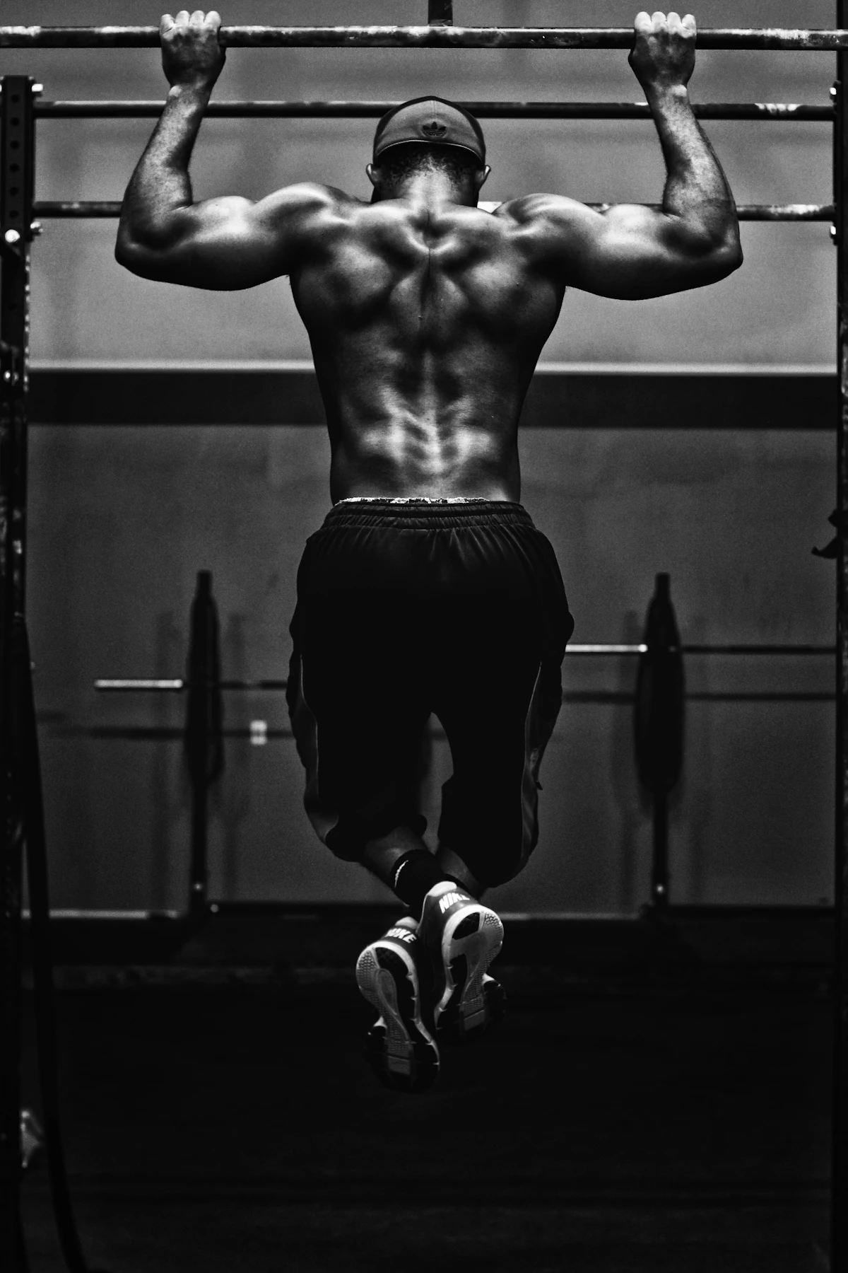 Plateloaded Area – Hantelscheiben-Geräte im Everybody's Fitness Club